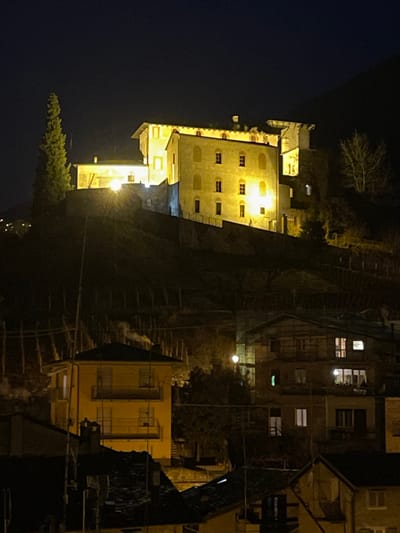 This nighttime image captures a quiet, historic hillside town, likely in a European setting like Sondrio, Italy. The scene is dominated by architectural elements and artificial illumination against a dark sky.
In the lower-left, a large, multi-story building stands out, brightly lit with numerous rectangular windows that glow warmly from interior lights. Its light-colored facade contrasts with the surrounding darkness, suggesting a prominent or historic structure. Moving upwards and to the right, a complex system of steep, winding outdoor stairs or terraced pathways ascends the hillside, seemingly connecting various dwellings. These stone or concrete steps are partially illuminated by streetlights, which also cast distinct pools of light on the terrain.
Further up the slope and towards the right, other residential buildings, some older and darker, are visible. Many of these also show lights in their windows, indicating habitation. Sparse trees and shrubbery are scattered throughout the scene, some appearing bare, others with foliage. The dark night sky occupies the upper-left portion of the frame, providing a deep backdrop for the illuminated structures. No people are visible, and there is no discernible text. The overall atmosphere is one of serene antiquity and everyday life in a picturesque, elevated settlement after dusk.