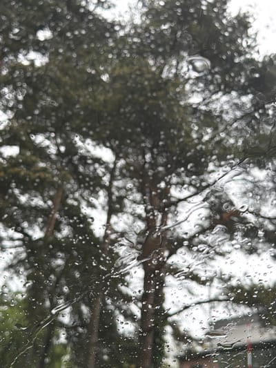 The image shows a view through a rain-streaked window. The rain obscures the view of trees outside. The location is suggested to be in Durham, United Kingdom, but this cannot be confirmed from the image alone. There are no people visible. The primary subjects are the rain droplets and the indistinct trees in the background. The water on the window is streaking and beaded. The background trees are blurred and out of focus. The environment is overcast.