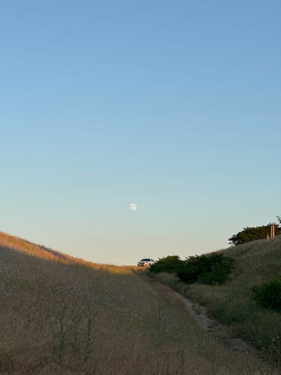The image captures a serene, natural landscape under a clear sky. In the distance, a bright full moon is visible. The foreground is dominated by rolling hills covered in dry, tall grass, interspersed with a few scattered wildflowers. A dirt path winds its way up the hill. On the crest of the hill, a white car is parked, facing the viewer. To the right of the path, dense green bushes grow along the hillside. The overall impression is one of a tranquil, undeveloped rural environment. The location is identified as Mizhlymanske, Ukraine.