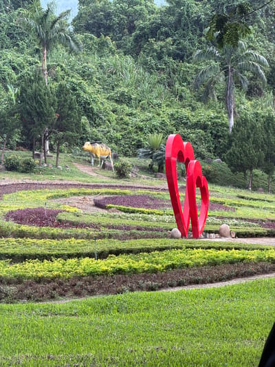 The image depicts a landscaped park in Khánh Vĩnh, Vietnam. In the foreground, a neatly mown green lawn leads to a series of terraced garden beds. These beds are planted with contrasting rows of green, yellow, and purple foliage. A prominent red sculpture of two intertwined hearts stands in the mid-ground, resting on a bed of small stones. To the left and slightly behind the sculpture, a pathway winds through the garden beds. In the upper left portion of the mid-ground, a weathered statue of a yellow and white cow stands on a grassy incline. The background is dominated by a dense, lush green hillside covered in various types of trees and foliage, with a hint of palm trees visible. The sky is overcast and the lighting is soft, suggesting a cloudy day. There are no people visible in the image.