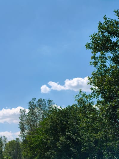 This is a vertical, eye-level, outdoor, daytime photograph of a bright blue sky with scattered white clouds and the tops of lush green trees. The trees occupy the lower portion of the frame, with branches and foliage extending upwards into the sky. The sky takes up the majority of the image, with a slight overcast due to the clouds. The scene appears to be located in a natural or semi-natural environment, possibly a park or a rural area. There is no indication of specific urban features, people, or animals. The location in Psilske, Ukraine, is mentioned but not visually represented in the image itself.