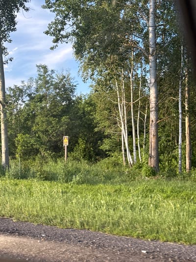 A yellow and black triangular warning sign is visible on a wooden post in a grassy area. The sign appears to depict a radiation symbol. The sign is surrounded by lush green foliage, including trees and tall grass. The sky is partly cloudy and blue. The scene is set in a natural environment, likely a rural area, possibly near Акцябрскі сельскі Савет, Belarus.