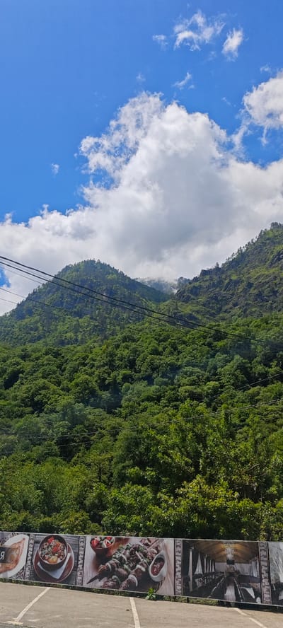 The image displays a vibrant mountainous landscape under a bright blue sky dotted with white cumulus clouds. Dense, lush green forests cover the steep slopes of the mountains, which dominate the upper two-thirds of the frame. Towards the distant peaks, a soft mist or lower clouds gently cling to the mountainsides.

Several dark power lines or cables stretch across the mid-ground, providing a visual element of human infrastructure against the natural backdrop. No people are visible in the scene.

The time of day is clearly daytime, with bright, direct lighting suggesting mid-day. The weather is fair, with blue skies and picturesque clouds, though the mist on the distant mountains hints at potential humidity or lingering cloud cover.

At the bottom of the image, a horizontal banner or billboard is prominently featured, advertising a restaurant or food establishment. From left to right, the banner sections show:
1.  A dish resembling a type of pastry or bread (possibly Khachapuri), with partially visible Cyrillic text next to it.
2.  A bowl filled with a savory-looking stew or mixed dish.
3.  Multiple skewers of grilled meat (like shashlik or kebabs) presented on a wooden board, accompanied by sauces and a small salad.
4.  An interior view of a dining hall or restaurant, featuring long tables and rustic décor.

The scene combines natural beauty with signs of human activity, characteristic of a scenic area with amenities for travelers or locals, fitting the location context of Bzypta, Abkhazia.