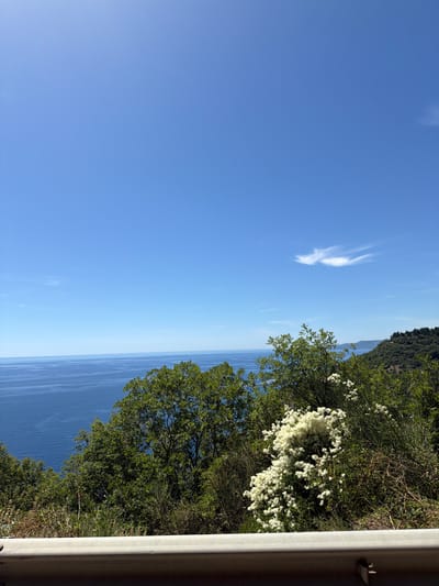 The image depicts a serene natural landscape from a high vantage point, overlooking the Adriatic Sea. The sky is a clear, vibrant blue with a few wispy white clouds. The sea is a deep, tranquil blue, stretching out to meet the horizon. In the foreground, lush green trees and bushes dominate, with a striking cluster of white wildflowers adding a touch of contrast. A light-colored guardrail is visible along the bottom of the frame, suggesting a road or elevated pathway. The terrain slopes downwards towards the sea, with rolling, tree-covered hills visible in the distance along the coastline. The scene appears peaceful and bathed in natural sunlight, indicative of a daytime setting. The specific location is identified as Gornji Katun, Montenegro. There are no people or animals visible in the image.