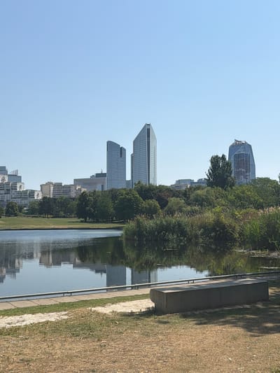 This image depicts a serene waterscape in the city of Nanterre, France, featuring a body of water in the foreground, reflecting the clear blue sky and surrounding greenery. In the middle ground, a lush line of trees and tall reeds separates the water from a collection of modern skyscrapers that dominate the background. These buildings, with their distinct architectural designs, are a prominent feature of the Nanterre skyline. The foreground is characterized by dry, sun-drenched grass and a simple concrete bench, suggesting a park or recreational area. The overall impression is one of urban tranquility, with nature and modern architecture coexisting harmoniously.
