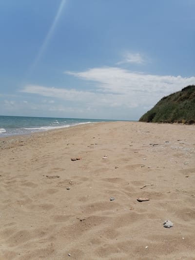 The image depicts a sandy beach in Durankulak, Bulgaria, under a bright blue sky with scattered white clouds. The sea is visible on the left side of the frame, with gentle waves lapping at the shore. The beach is covered in sand with scattered shells and small rocks. To the right, a grassy incline rises, covered in green vegetation. The scene is empty of people, suggesting a quiet and serene environment. The lighting indicates it is daytime, likely mid-morning or afternoon, with the sun casting a mild glare on the sand. The overall impression is one of a natural, undeveloped coastal landscape.
