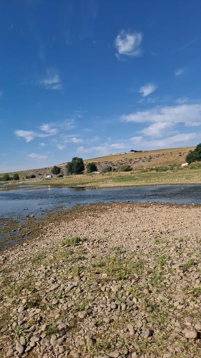 The image depicts a natural landscape with a wide, shallow body of water in the foreground, bordered by a pebbly shore with sparse green vegetation. Beyond the water, a gently sloping, dry, grassy hillside rises, dotted with trees and shrubs. Several vehicles, including cars and possibly an RV, are parked on the hillside. In the distance, structures can be seen on the crest of the hill. The sky above is a vibrant blue with scattered white clouds. This scene is consistent with the rural environment of Boraldai, Kazakhstan, which is known for its steppe landscapes and proximity to natural water bodies.