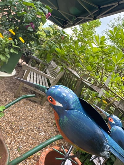The image shows a close-up of two brightly painted metal bird sculptures in a garden setting. The sculpture in the foreground is a kingfisher with blue, red, and white details, and its beak is pointed towards the left. To the right and slightly behind is another kingfisher sculpture, partially visible. Both sculptures are positioned on a green metal stand which also appears to be part of a watering can. The background features a wooden garden bench, lush green foliage with some pink and yellow flowers, and a section of a dark green canopy. The ground is covered in small, light-colored gravel. The overall impression is a charming, decorative garden scene. This scene could be located in a garden within the city of Mid Sussex, United Kingdom.