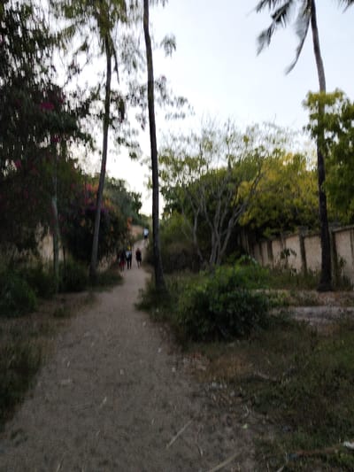 The scene depicts an unpaved dirt path in Gombato Bongwe ward, Kenya. Approximately five to six indistinct human figures are observed walking away from the camera along the path, receding into the background. The path is bordered on both sides by dense vegetation. On the left, tall, slender tree trunks rise alongside a bush with dark green foliage and intermittent reddish-purple elements. On the right, similar tall tree trunks are present, with a distinct light-colored masonry wall partially visible behind trees and undergrowth. The sky above is pale and overcast. The entire image displays significant motion blur and soft focus, affecting the clarity of all subjects and objects.