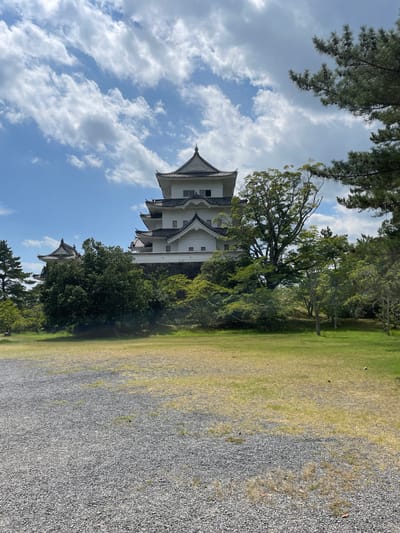 The image shows the Ueno Castle in Iga, Japan, on a sunny day with scattered clouds in a bright blue sky. The castle is a multi-tiered structure with white walls and dark, curved tiled roofs. It is situated on a raised area covered in lush green trees and bushes. In the foreground, there is a wide expanse of green grass that transitions to a gravel path on the left side of the frame. Pine trees are visible on the right, framing the castle and its surroundings. The scene appears to be a peaceful outdoor setting, likely a park or tourist attraction, with no people or animals visible.