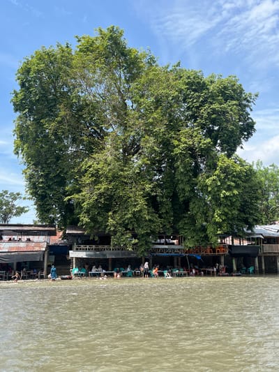 The image shows a waterfront scene in Meurah, Indonesia, under a bright blue sky with scattered clouds. A large, mature tree with dense green foliage dominates the center of the frame, its branches extending over a series of stilted structures along the riverbank. These structures appear to be open-air cafes or shops with corrugated metal roofs and wooden verandas.
Numerous people are present, many seated at tables and chairs on the verandas, suggesting a dining or recreational setting. Several individuals are in the shallow water at the edge of the river, with at least one child running towards the water. Two inflatable tubes are visible near the riverbank. The river itself is wide and appears to be a muddy brown color, with ripples indicating gentle movement. The overall impression is a lively, casual gathering place by the water on a sunny day.