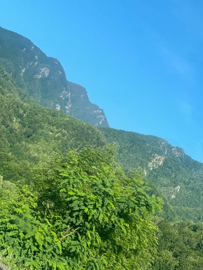 The image depicts a steep, forested mountainside under a clear blue sky. The perspective is angled, as if captured from a moving vehicle, with the mountains and sky dominating the frame. The left side of the image is a vibrant, cloudless blue sky. To the right, the mountain slopes are densely covered in various shades of green foliage, suggesting a lush forest. Rocky outcrops and lighter-colored rock faces are visible through the trees on the steeper parts of the mountain. In the foreground, on the right side of the image, a cluster of bright green leaves is blurred, indicating motion and a closer proximity to the viewer. The overall impression is one of natural beauty and a journey through a mountainous region. The bright sunlight and clear sky suggest it is daytime, likely late morning or early afternoon. The lush greenery indicates a temperate climate during a warm season. No people, objects, or text are visible in the image. The scene is consistent with the landscape found in mountainous areas like Brezoi, Romania.