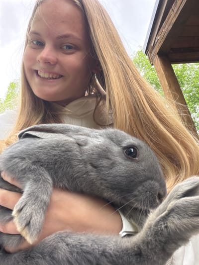 The image captures a heartwarming outdoor scene featuring a young woman and a grey rabbit. The woman, with long, straight blonde hair, is looking directly at the camera with a wide, joyful smile, revealing her teeth. She appears to be wearing a light-colored top.

She is holding the grey rabbit close to her body, possibly in her arms or against her chest. The rabbit has soft, dense grey fur, a dark eye, and long white whiskers. Its front paws, with lighter fur on the tips, are visible, indicating it is relaxed and comfortable in her embrace.

The setting appears to be outdoors, beneath a wooden structure, possibly a porch or gazebo, as evidenced by the visible wooden beams in the background. Beyond this structure, vibrant green foliage from trees can be seen against a bright, overcast sky. The lighting suggests it is daytime. The overall mood conveyed is one of affection and happiness. No text is visible in the image.