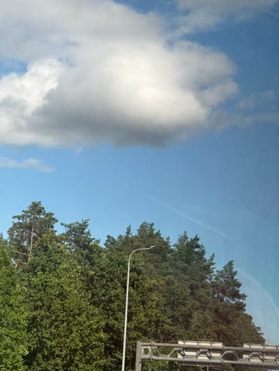 The image depicts an outdoor scene within Korostyshiv, Ukraine. The upper portion of the frame is dominated by a bright blue sky, featuring a large, dense cumulus cloud spanning the upper left and central areas. A faint linear contrail is visible in the mid-right sky. The lower half of the image is filled with a dense canopy of green trees, including tall, pointed coniferous trees and broadleaf deciduous trees. A grey metallic streetlight pole, equipped with a horizontal arm supporting a modern LED luminaire, rises from the lower-middle, partially obscuring the foliage. Below the streetlight and to the right, a segment of a grey metallic overhead gantry structure, characterized by a lattice framework, is visible. A subtle, curved discoloration, consistent with a faint rainbow or lens flare, is present along the far right edge of the frame. No people, specific actions, or interactions are visible.
