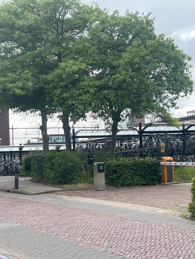 The image depicts an outdoor scene in Leeuwarden, Netherlands, characterized by lush green trees, a large bicycle parking area, and brick pavement. In the foreground, a red brick pathway forms a diagonal pattern, with a gray strip running parallel to it. Beyond the pathway, there's a patch of green grass and a dark cylindrical bollard.
The mid-ground reveals a dense, manicured green hedge. To the right of the hedge, an orange automated barrier gate stands tall, with a reflective white and red striped pole. Adjacent to the barrier is a gray trash receptacle. Further back, a vast covered bicycle parking area is visible, filled with numerous bicycles. The structure covering the parking area features a transparent roof supported by dark poles.
The background is dominated by mature trees with full green canopies, casting shadows and providing a natural backdrop. Behind the trees, parts of modern buildings can be seen, suggesting an urban or semi-urban environment. The sky above is overcast with clouds. No people are visible in the frame. The scene appears to be a functional public space, likely a transportation hub or a public facility where bicycles are commonly parked.