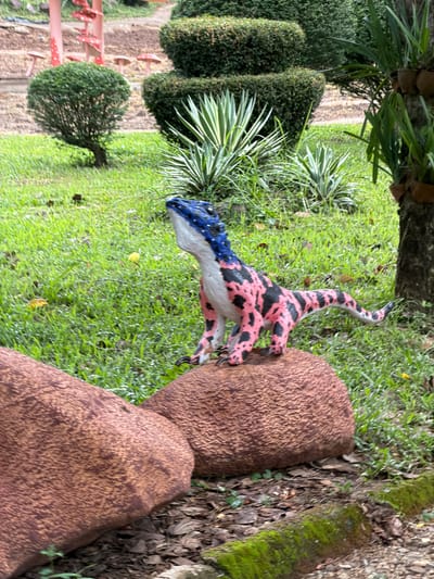 A small, brightly colored toy dinosaur is positioned on a large, textured, reddish-brown rock. The dinosaur is primarily white with large pink patches outlined in black, and its head and upper back are painted blue with white speckles. It is looking upwards and to its left. The rock it sits on is one of two large, rounded rocks in the foreground, partially obscuring the view of the rest of the scene.
The background consists of a lush green lawn with scattered fallen leaves. Several manicured topiaries, a cluster of palm-like plants with variegated leaves, and the trunk of a palm tree are visible. In the far background, there are some red mushroom-shaped decorative elements, possibly part of a playground or garden feature. The overall setting appears to be an outdoor garden or park area.
The image does not contain any people or provide any specific indicators of its location within the city of Khánh Vĩnh, Vietnam.