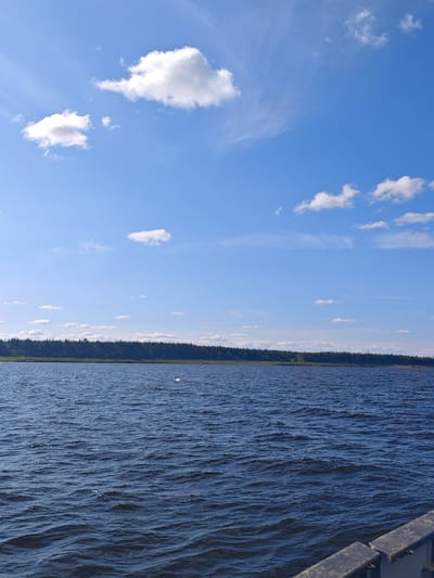 The image depicts a wide, dark blue body of water with ripples, suggesting a lake or river. A dense, dark green forest lines the distant horizon. The sky is a bright blue with scattered white cumulus clouds. In the foreground, a dark, metallic structure, possibly a railing of a boat or pier, is visible on the right side, partially obscuring the water. The scene appears to be a natural landscape under a clear sky. The location is identified as the city of Igarka, Russia.