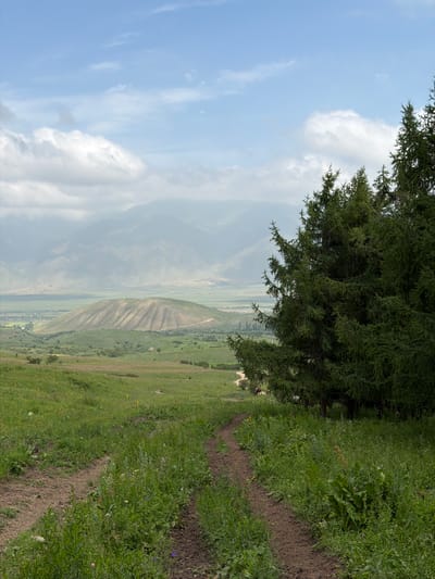 The image depicts a scenic landscape view from a grassy hillside. A large evergreen tree dominates the upper left portion of the frame, its branches casting shadows and providing a natural border. Below the tree, the terrain slopes downwards, revealing a valley with agricultural fields and rolling hills. The sky is a bright blue with scattered white clouds, suggesting a pleasant day.

In the foreground, a narrow dirt path winds its way up the grassy incline. The path is flanked by lush green grass and vegetation, with some wildflowers visible. Further down the slope, the landscape opens up into a wide valley. The valley floor appears to be a patchwork of green fields, possibly farmland. In the distance, misty mountains rise, their peaks softened by the haze. A lone tower-like structure is visible on one of the distant hills.

There are no discernible people or specific objects of interest other than the natural elements. The activity is passive, simply a view of a natural and agricultural landscape. The time of day appears to be daytime, likely late morning or afternoon, given the brightness of the sky and the quality of light. The weather seems to be clear with some cloud cover. The location is implied to be mountainous and rural, likely a high-altitude area given the vegetation and distant peaks. The overall emotion conveyed is one of peace and tranquility, highlighting the beauty of nature. There is no visible text in the image.