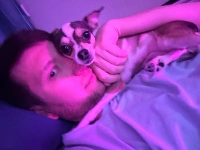 The image captures an intimate moment between a person and a small dog, bathed in the soft glow of purple and pink light. The person, whose face is partially visible, is lying down, with their head resting on a surface that appears to be a pillow or bedding. They are looking upwards, their eyes open. Wrapped around them is a small dog, likely a chihuahua or a similar breed, with distinctive brown and white markings on its face. The dog is held close, its head resting on the person's chest or arm. The background is a blur of colors, suggesting an indoor setting, possibly a bedroom, with soft fabrics like sheets or blankets visible. The overall atmosphere is one of comfort and affection, enhanced by the ambient lighting. There is no discernible information in the image that places the scene in Tokaryovo, Russia; the description is limited to the visual elements present.