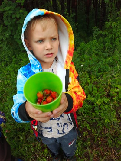 A young boy, with blond hair and blue eyes, is shown outdoors in a wooded area. He is wearing a hooded jacket with a tie-dye pattern featuring blue, yellow, and red colors, and a light-colored t-shirt with a dark blue pattern. The boy is holding a bright green plastic cup filled with small red berries, likely wild strawberries, in his hands. His expression appears thoughtful or slightly concerned. The background consists of lush green vegetation, including trees and smaller plants, suggesting a natural, outdoor environment. The lighting indicates it is daytime. The image captures a moment of childhood activity, possibly foraging for berries in a rural or forested setting.