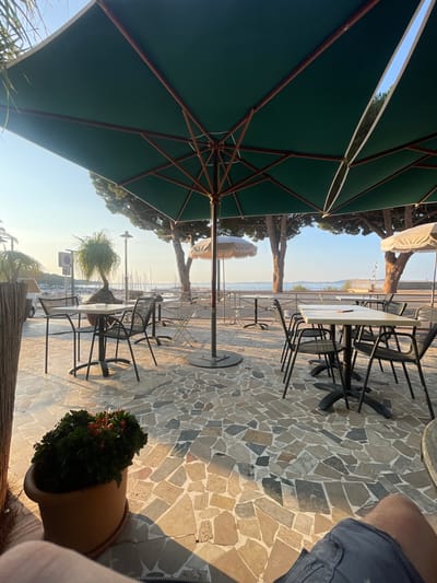 The image shows an outdoor seating area with tables and chairs under large green umbrellas. The patio is paved with irregular stone tiles. In the background, there are trees, a harbor with boats, and the sea. A potted plant is in the foreground. The scene appears to be a cafe or restaurant located in Carqueiranne, France, likely overlooking a marina or waterfront. The lighting suggests it is either early morning or late afternoon.