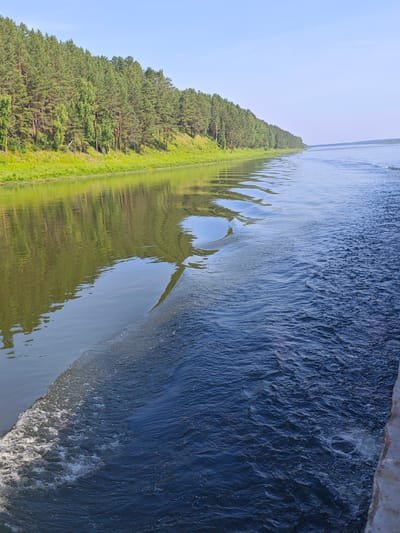 The image depicts a wide river flowing alongside a dense forest on its left bank. The water on the left side of the frame is calm and reflects the trees and the bright blue sky. On the right side, a prominent wake is visible, indicating that the viewer is on a moving vessel. The wake is characterized by choppy, dark blue water with white foam. The forest is lush and green, primarily composed of coniferous trees, with a grassy embankment leading down to the water's edge. The sky is clear and a light blue. The location is identified as Piskunovka, Russia.