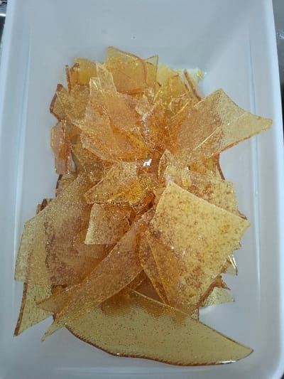 The image displays a white, rectangular container filled with a substantial quantity of amber-colored, translucent, irregularly shaped shards. These shards, consistent with broken caramelized sugar or hard candy brittle, are piled haphazardly in the center, exhibiting variations in size and a textured, glossy surface that reflects light. No individuals or active interactions are present. The immediate environment consists solely of the white container. This scene is located in Bnei Dror, Israel.
