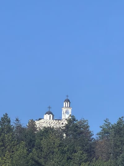 The image displays a view of the Church of Saint George in Hadzhidimovo, Bulgaria, against a clear blue sky. The church is situated on a hill, partially obscured by a dense forest of evergreen trees. The church itself is a light-colored structure with a dome topped by a cross. Adjacent to the dome is a tall clock tower with Roman numerals on its clock face. The architecture suggests a traditional Orthodox Christian church. The surrounding environment is dominated by the lush greenery of the forest, indicating a natural, possibly mountainous or hilly, setting. The lighting suggests it is daytime, likely with bright sunlight, casting a clear and sharp image. No people are visible in the scene.