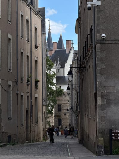 The image depicts a narrow, cobblestone street in Nantes, France, with tall, aged buildings on either side. The architecture suggests a historic district, with elements like arched windows, stone facades, and pitched roofs visible. In the background, a prominent building with pointed turrets and spires hints at a significant landmark, likely a castle or cathedral, consistent with Nantes' historical landscape.
Several individuals are walking along the street. On the left side, a person in dark clothing is walking away from the camera, while on the right, a group of people are walking towards the camera. The street is illuminated by vintage-style lampposts attached to the buildings. Two surveillance cameras are mounted on the right-side building, one higher up and another lower down. Green signage with directional arrows and time indications ("14 min", "3 min", "2 min") is visible on the right side of the street. The sky is partly cloudy. The overall impression is a blend of old-world charm and modern surveillance.