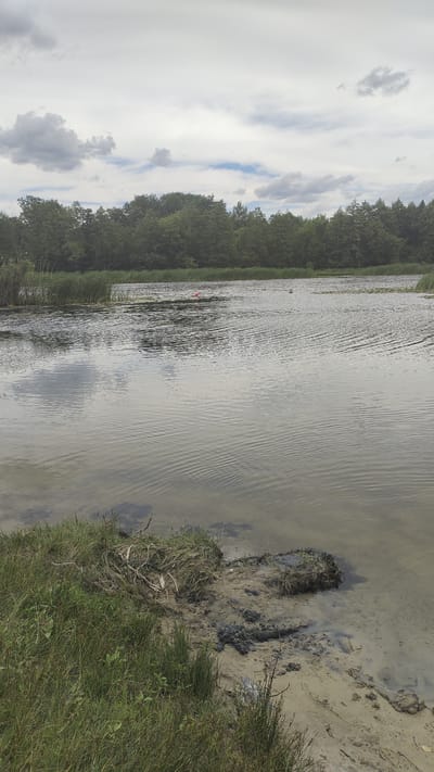 The image depicts a calm body of water with ripples on the surface, bordered by a dense line of green trees in the background. The sky above is overcast with clouds. In the foreground, there is a muddy bank covered in green grass and some dry vegetation. Two orange buoys are visible in the water. This scene is located in the city of Ramon, Russia.