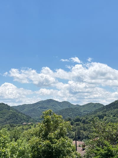 The image shows a landscape in Zhaltusha, Bulgaria. A blue sky with long, parallel white clouds dominates the left half of the image. A range of tree-covered mountains extends diagonally across the right side of the frame. In the lower right corner, green foliage from trees in the foreground obscures some of the mountain view. A building with a red-tiled roof is visible amongst the trees near the mountains. Power lines cross in front of the building. The image is taken during daytime.