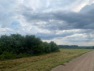 The image depicts a rural landscape in Заволжский, Russia, under a cloudy sky. In the foreground, a gravel road runs along the right side of the frame, leading into the distance. To the left of the road is a mown field with patches of dry grass and some green growth. A dense line of green trees and bushes forms a natural border along the edge of the field. A large, dark, cylindrical object, possibly a fallen log or tire, rests on the ground near the tree line. In the background, a vast, flat field stretches towards a distant, treelined horizon. The sky is filled with dramatic, layered clouds, with patches of lighter sky visible through them, suggesting a dynamic weather system. There are no people or animals visible in the scene.