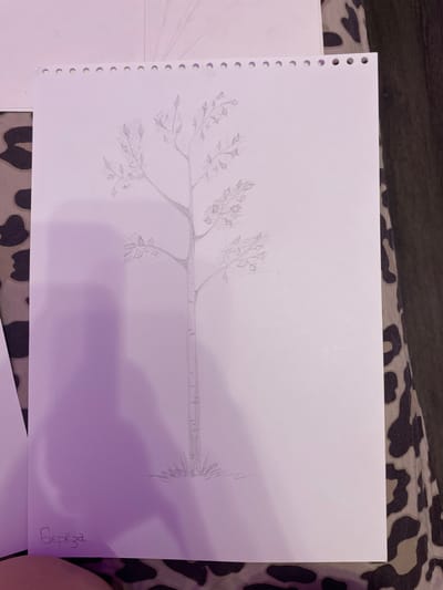 A pencil sketch of a birch tree is depicted on a white sheet of paper, featuring a single trunk with thin branches and sparse leaves. The ground beneath the tree is represented by simple grass strokes. In the bottom left corner of the paper, the word "Береза" (Birch) is handwritten in Cyrillic script. The paper itself has a perforated edge along the top. The sketch is illuminated by a purple light casting a shadow on the left side of the paper. The background consists of a dark surface with a leopard-print pattern and a lighter surface to the left. The sketch does not contain any elements that can be used to determine its location in Zmeinyi, Russia.