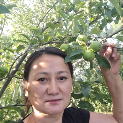 A woman, appearing to be of Asian descent, with dark hair and brown eyes, is captured in a close-up selfie taken outdoors. She is positioned in front of an apple tree, with several green apples visible on the branches. The woman is wearing a black shirt. Sunlight creates dappled shadows on her face. Her right hand is extended, gently touching a branch of the tree, with some of the apples in proximity to her hand. The background consists of lush green foliage and dappled sunlight, suggesting a natural, possibly rural, environment. The specific location within Ақкемер, Kazakhstan, cannot be determined from the visual information alone, but the presence of an apple tree and outdoor setting is evident.