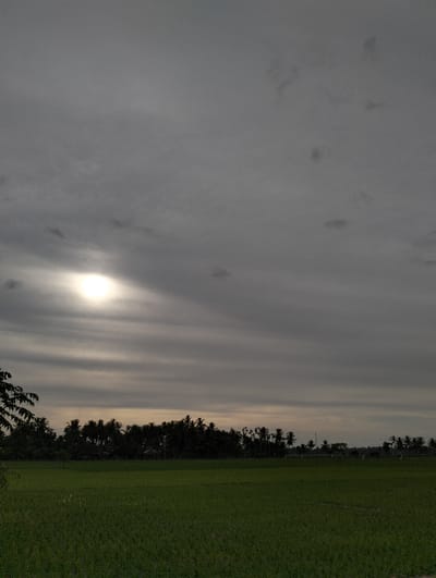 The scene depicts a rural landscape in Jambo Dalam, Indonesia. The upper two-thirds of the image are dominated by an overcast sky filled with dense, grey stratus clouds. A bright, diffused light source, consistent with the sun, is partially visible on the upper-left, casting a distinct glow through the cloud cover. The horizon line is formed by a continuous, dark band of various trees, predominantly tall palm trees. The lower third of the image comprises a flat, expansive field of vibrant green vegetation, characteristic of a cultivated area such as a rice paddy. No individuals, animals, or man-made structures are distinctly visible within the frame.