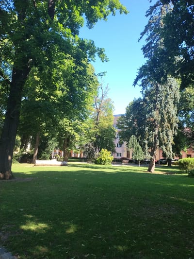 This is a wide shot of a park with a bright blue sky and lush green grass. The image is oriented vertically. In the foreground, a large tree trunk is visible on the left, with its branches extending upwards and out of frame, creating a canopy of green leaves. The middle ground features more trees and a pathway, with buildings visible in the background. The buildings appear to be of various colors, including pink and brown, with multiple windows and architectural details. The park is well-maintained, with neatly cut grass and shadows cast by the trees, suggesting it is daytime, likely late morning or early afternoon due to the angle of the sun. The atmosphere appears peaceful and serene. No people are visible in the image.