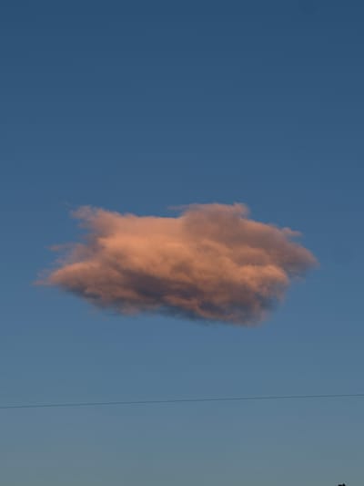 A single, elongated cloud is the central subject of this image, set against a clear, pale blue sky. The cloud is illuminated by warm, golden light, suggesting it is either sunrise or sunset, and appears to be tinged with pink and orange hues. Its form is wispy and amorphous, with a denser core and feathery edges that trail downwards, resembling wisps of smoke. The cloud is positioned slightly to the left of the frame's center.
A thin, dark, vertical line runs from the top edge of the image down to the bottom, bisecting the right half of the frame. This line is likely a power line or similar man-made structure, partially obscuring the sky. To the far right of the frame, a small, dark, silhouetted shape is visible against the sky, appearing to be foliage or a bird.
The overall impression is one of a serene and tranquil sky scene, characteristic of late afternoon or early morning light. The setting is likely outdoors, with an open view of the sky. There is no visible text in the image.