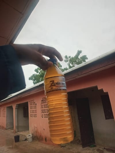 A person's hand holds a clear plastic bottle filled with a yellow liquid, possibly a beverage, with a white label that reads "Zoo". The bottle is held up against a cloudy, overcast sky. In the background, there is a light pink, multi-unit building with visible architectural details like patterned window grates and dark doorways. Trees are visible above the building. The ground in front of the building appears to be a wet, possibly paved, surface. Two buckets, one dark and one light-colored, are near the entrance of the building. The scene suggests an outdoor setting, possibly residential or commercial, in Girei, Nigeria.