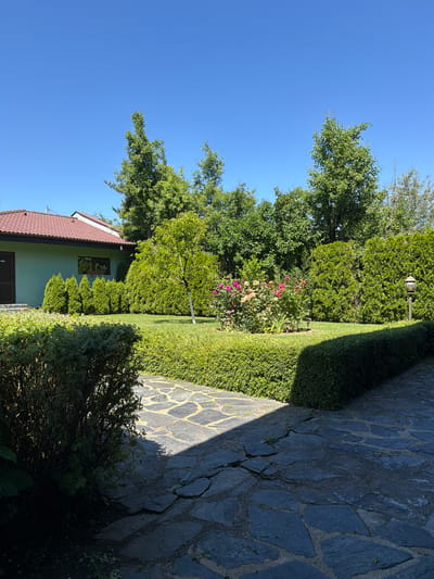 A sunlit exterior view captures a meticulously maintained garden and a portion of a light green house with a red tiled roof. The foreground features a pathway made of irregular dark gray flagstones, with a well-trimmed, dark green hedge to the right, casting a shadow. To the left, a lower, shaggier green hedge occupies the foreground.

Moving into the midground, a vibrant, circular flower bed bursts with pink and lighter-colored roses, interspersed with green foliage. This bed is surrounded by a manicured green lawn. Behind the flower bed, a slender tree with green leaves stands. A line of tall, conical evergreen bushes runs along the edge of the lawn, separating it from a dense backdrop of various green trees and shrubs.

In the background, a segment of the light green house is visible, featuring a dark brown door and a rectangular window. The house is bordered by more evergreen bushes. The sky above is a clear, bright blue. A single, traditional-style outdoor lamp with a tan shade is positioned on a dark pole to the right of the flower bed. The overall scene suggests a peaceful, private residential garden environment.