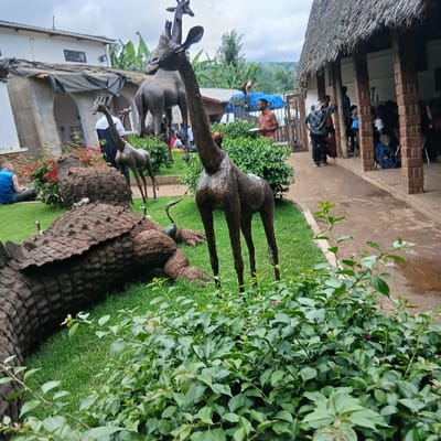The image depicts an outdoor sculpture garden and adjacent architectural structures in Mweka, Tanzania, under an overcast sky.

In the immediate foreground, dense green shrubbery with scattered small pink flowers partially obscures the lower portion of the scene. The midground features a manicured green lawn populated by multiple dark-colored animal sculptures. A large, textured crocodile sculpture, rendered in a dark bronze or brown material, rests prominently on the grass, with two smaller bird-like figures positioned on its back and near its head. Behind and to the left of the crocodile, three giraffe sculptures are visible; one large adult giraffe stands centrally, facing away from the viewer with its head turned to the right, and two smaller giraffes are positioned further back on the left. Additional smaller, dark animal sculptures (possibly ungulates) are discernible on the lawn in the background. A flowering red bush is situated behind the crocodile sculpture on the left.

To the far left, an individual wearing a blue shirt is seated on the grass. A dirt or gravel path extends from the midground towards the background, separating the lawn from two buildings. On the right side of the path, a building with a prominent thatched roof and exposed brick pillars provides a covered walkway. Approximately ten individuals, appearing to be young adults or students, are present on this path and under the covered area. Several carry blue backpacks. Their postures indicate standing, walking, or congregating, with most facing away or partially obscured. One person in a light brown or orange shirt stands in the mid-background near a wooden fence or railing, holding a white object. To the left, a light-colored building with an arched entrance is partially visible. The distant background reveals green, tree-covered hills under a cloudy sky.