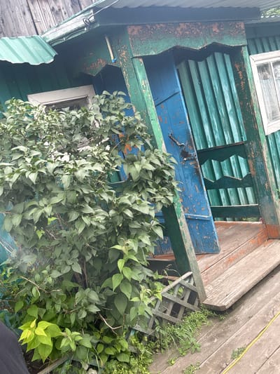 The image depicts a weathered, green wooden structure with peeling paint, suggestive of an older, possibly abandoned building. A bright blue door, also showing signs of wear and tear, is ajar, revealing more of the interior's green wooden walls. To the left of the door, a dense bush with vibrant green leaves partially obscures a white-framed window. The structure is set on a wooden deck, also aged and weathered, with a yellow cord running across it. In the background, a corrugated green roof is visible. The overall impression is one of rural decay, potentially in Yabogan, Russia, a region known for its wooden architecture and older, less maintained structures. No people are visible in the frame, and the scene appears to be a static environmental capture.