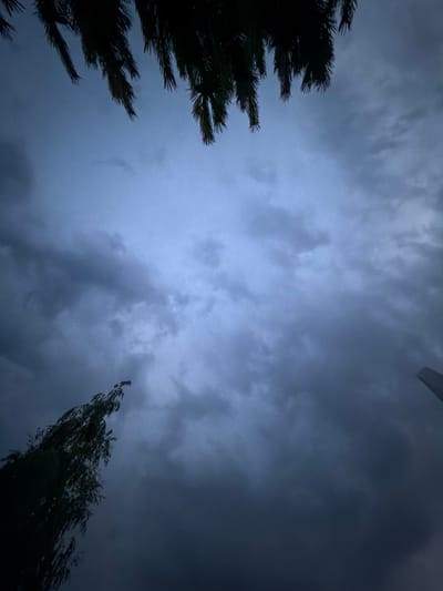 The image depicts a low-angle shot of a dark, cloudy sky, likely taken at dusk or during a storm due to the dim lighting and overcast conditions. The sky is filled with thick, grey clouds that obscure any potential sunlight, creating a somber and dramatic atmosphere. In the foreground and along the edges of the frame, the dark silhouettes of coniferous trees are visible, their spiky needles appearing almost black against the muted sky. The trees are positioned in the lower left and lower right corners, framing the expanse of clouds. A sharp, angled object, possibly a man-made structure or part of an airplane, is visible in the upper right portion of the sky. The overall impression is one of natural elements dominating the scene, with an impending sense of weather change or a dramatic natural event. The location context of Çolpon-Ata, Kyrgyzstan, suggests this might be a view of the sky over the Issyk-Kul lake region, known for its dramatic weather patterns. No text is visible in the image.