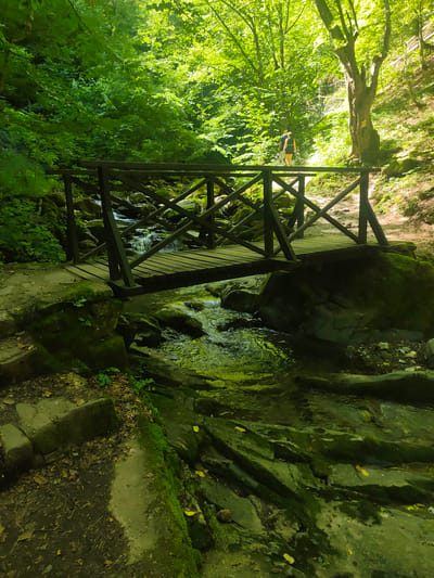 The image depicts a wooden bridge spanning a shallow, rocky stream in a lush, green forest. The bridge, constructed with dark wooden planks and a lattice railing, leads across the water. The stream bed is covered with moss-laden rocks, and the water flows gently over them. The surrounding environment is densely wooded, with sunlight filtering through the canopy, illuminating patches of foliage and the forest floor. In the background, two individuals, one appearing to be wearing a dark shirt and shorts, and the other a dark tank top and shorts, are walking on a path. The scene is consistent with a natural setting within the town of Teteven, Bulgaria, likely a hiking trail or park area.
