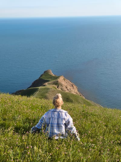 A medium, eye-level shot shows the back of a person sitting in a field of wildflowers, looking out at a long, narrow peninsula jutting out into the ocean, in Коктебельский поселковый совет, Ukraine. The person, presumably female, has light-colored hair pulled back in a bun. She wears a light blue and white plaid, button-down shirt. The peninsula, covered in green grass and some bare earth, extends from the foreground, with the ocean on either side. The ocean is a calm, deep blue, stretching to the horizon. The sky is light blue and clear. The foreground is filled with green grass and small pink wildflowers.