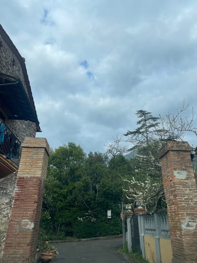 The image portrays an outdoor scene in Monsummano Terme, Italy, on an overcast day. In the left foreground, the corner of a multi-story building constructed of light-colored rough-hewn stone is visible, featuring a dark tiled roof and a small balcony with a black metal railing. Blue fabric or clothing is draped over the balcony railing. Adjacent to the building, a substantial brick gatepost, constructed primarily of reddish-brown bricks with a lighter, more recently constructed brick cap, stands at the edge of a dark asphalt road. Several terracotta planters containing unidentifiable vegetation are positioned at the base of this post.

In the right foreground, a matching brick gatepost with a similar lighter brick cap and a lighter grey patch on its visible side marks the opposite side of the entrance. This post stands in front of a low, grey concrete fence topped with balusters, behind which a dark metal gate is partially obscured. A red hexagonal "STOP" sign on a grey pole is partially visible next to the gate, partially integrated into the foliage.

The asphalt road or driveway curves slightly to the left as it recedes into the midground. The midground is characterized by dense green foliage, primarily deciduous trees and shrubs, with some areas exhibiting white blossoms. A tall, slender conifer tree rises prominently above the other trees in the center-right. A white rectangular sign on a pole, partially obscured by foliage, is visible among the trees on the left side of the road. In the background, tree-covered hills or mountains are faintly discernible through the dense tree line and the prevailing heavy, grey cloud cover. The sky is entirely overcast, with diffuse light conditions and patches of lighter grey. No individuals or dynamic actions are present in the scene.