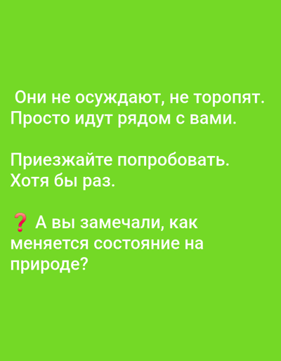 The image is a green-colored graphic with text in the Russian language. The text says: "Они не осуждают, не торопят. Просто идут рядом с вами. Приезжайте попробовать. Хотя бы раз. ? А вы замечали, как меняется состояние на природе?" which translates to "They don't judge, they don't rush. They just walk beside you. Come and try. At least once. ? Have you noticed how the state changes in nature?" The text suggests a contemplative tone about experiencing nature. The image is likely a quote or an invitation to visit a natural setting. There is no information about the location in the city of Ilyinka, Russia, in the image.