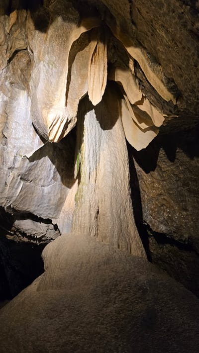 The image depicts the interior of a cave, likely a tourist attraction given the lighting and the clear formations. The primary subjects are the natural geological formations of stalactites and stalagmites, characterized by their layered, undulating textures and pale, earthy colors. These formations appear wet, with a sheen on their surfaces, suggesting the presence of water and active mineral deposition. The cave's ceiling and walls are rough and dark, contrasting with the smoother, lighter speleothems.
There is no activity or event taking place; the scene is static and captures a moment of geological time. Notable details include the intricate details of the rock formations, such as the rippled surfaces and sharp edges of the layered deposits, and the play of light and shadow, which accentuates the three-dimensional qualities of the cave's interior. The overall atmosphere is one of natural wonder and subterranean exploration. The lighting appears to be artificial, likely installed for visitor safety and illumination.
No people are visible in the image. No text is present. The location context of Vavřinec, Czechia, suggests this is a natural cave formation in that region. The time of day and weather are not determinable from the image, as it is an enclosed underground environment. The emotions evoked are likely awe and curiosity about the natural processes that create such formations.