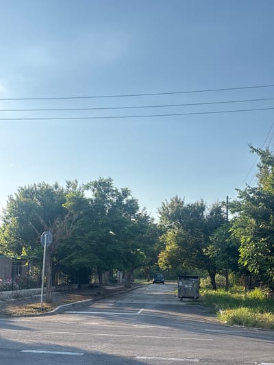 This image depicts a roadside scene in Vaklino, Bulgaria, likely in the late afternoon due to the long shadows cast by the trees. The sky is a clear, bright blue, suggesting fair weather.

The scene is divided between a wide expanse of sky on the left and the roadside on the right. Several parallel power lines stretch across the sky. On the right side of the image, a paved road with white lane markings runs diagonally. Along the side of the road, there is a grassy verge and several trees with lush green foliage.

Notable objects in the scene include a large, open-top dumpster, appearing to be filled with debris, situated on the grassy area beside the road. A dark-colored car is parked behind the dumpster. A metal pole with a rectangular sign is also visible near the trees. In the background, there are more trees and some structures that are partially obscured by foliage. A fence and some flowering plants are visible near the bottom right of the image.

No people are visible in the image. The overall impression is a quiet, rural roadside.