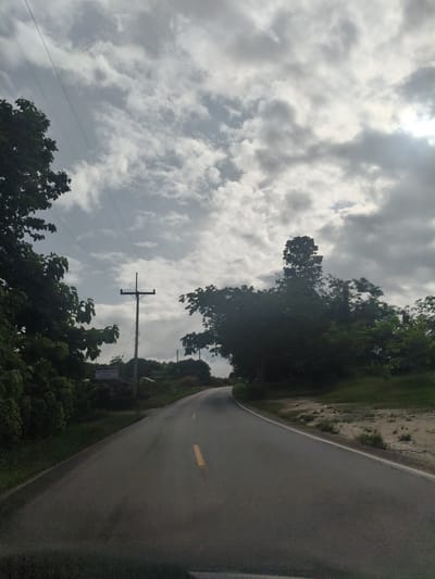 The image captures a scenic drive on a paved road curving through a lush, green landscape under a dramatic, cloud-filled sky. The road is marked with a single yellow line down the center and a white line along the right edge. To the left, dense foliage of trees with large leaves creates a shadowed canopy. A utility pole with crossbars and wires stands prominently near the left side of the road. In the background, rolling hills are covered in vegetation, with some sparse sandy areas visible. A tall, dark silhouette of a tree stands out against the sky on the right side. The overall impression is one of a rural or semi-rural setting in Thailand.