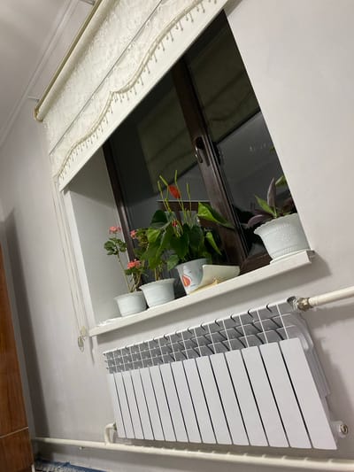 In the city of Тынчтык, Kyrgyzstan, an indoor scene captures a window ledge adorned with potted plants. A white floral-patterned valance with beaded trim hangs above the window. On the windowsill, three white potted plants are visible: one with pink flowers, another with green leaves and red spathes, and a third with dark purple leaves. To the left of the window, a part of a wooden cabinet is visible. Below the windowsill, a white radiator with multiple fins is installed. The walls are painted a light gray.